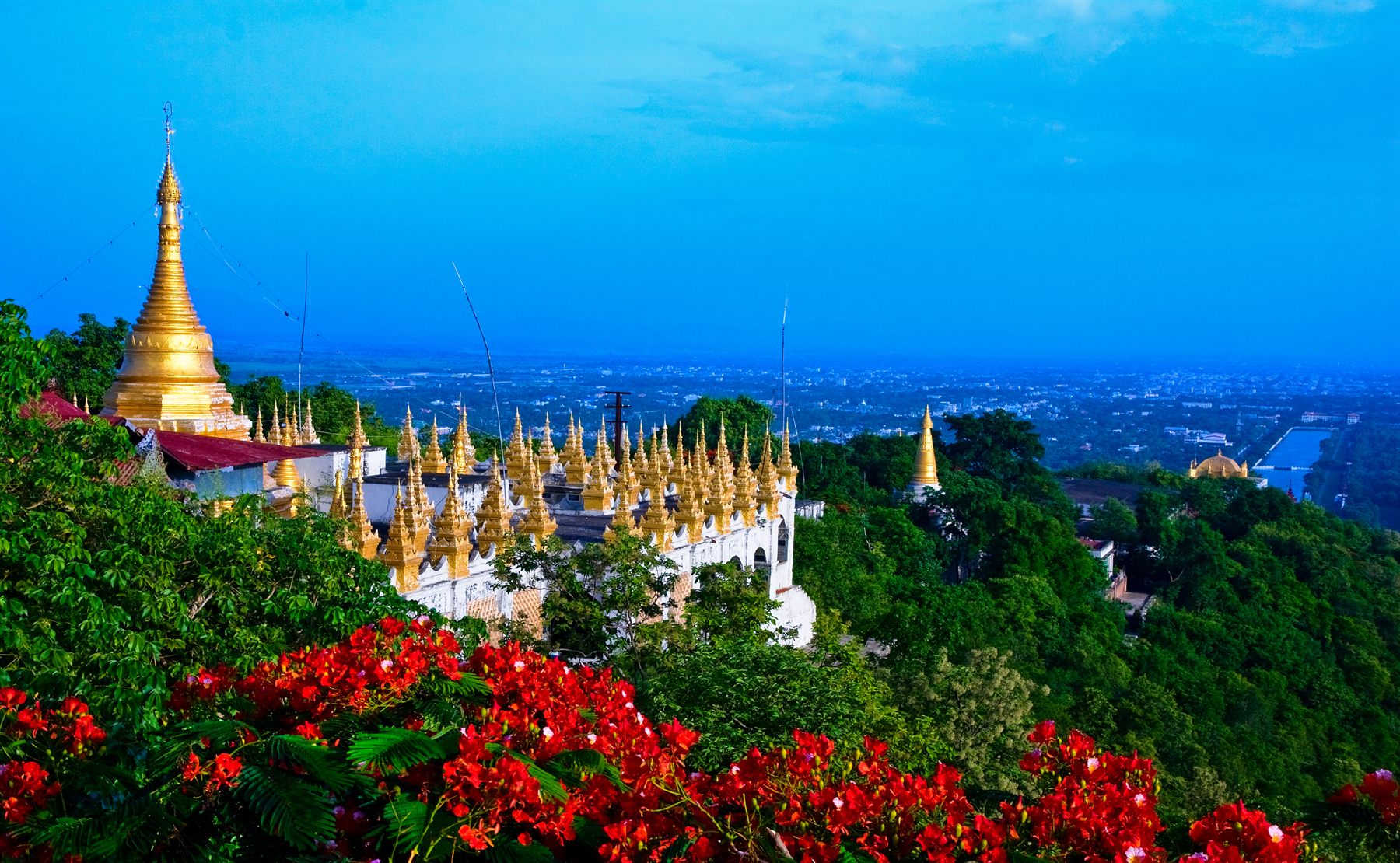 Golden hilltop pagoda and white shrines above a wide plain, red flowers in the foreground, Myanmar