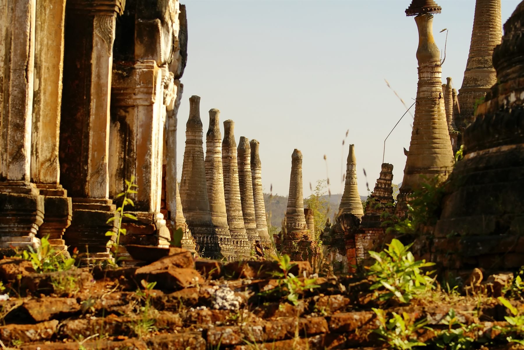 Rows of weathered ancient brick stupas overgrown with plants, Myanmar